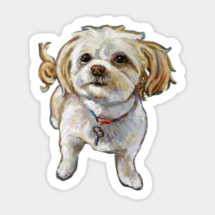 Cute Chi Poo Shi Tzu Sticker Sticker